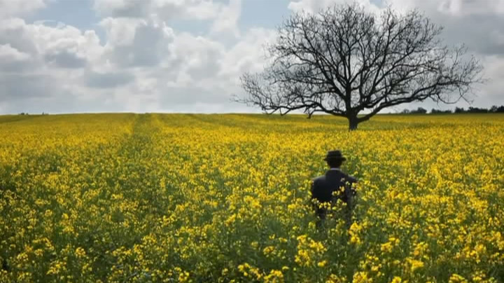 Souvenirs from Earth Solitude De Robin Risser3